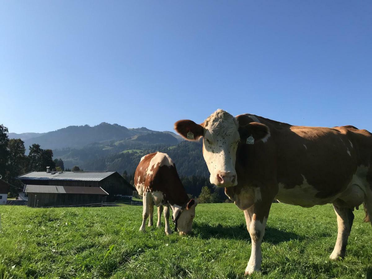 Villa Hof Oberhaus Kitzbühel Exterior foto